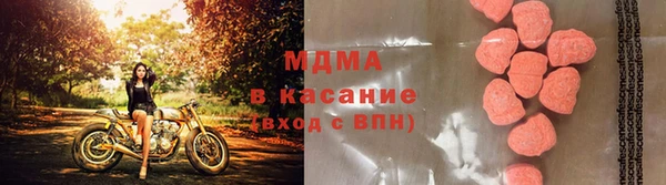 ECSTASY Алзамай