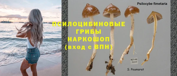 ешки Алексеевка